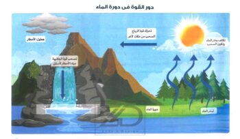 خريطة دور القوة فى دورة المياة